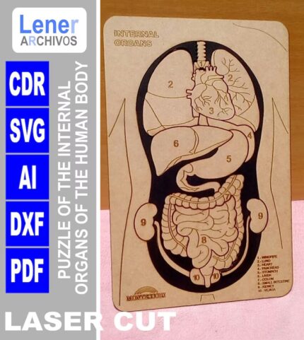 Rompecabezas del cuerpo humano