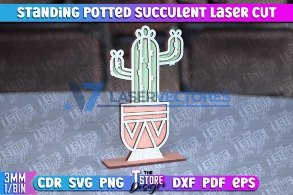 Suculenta de pie en maceta - Imagen 3