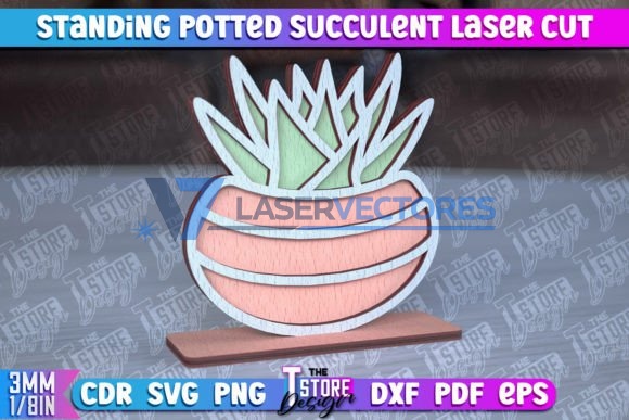 Suculenta de pie en maceta - Imagen 4