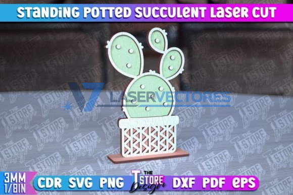 Suculenta de pie en maceta - Imagen 5