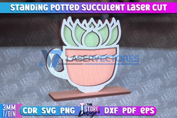 Suculenta de pie en maceta - Imagen 7