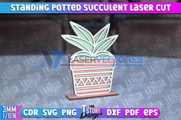 Suculenta de pie en maceta - Imagen 8