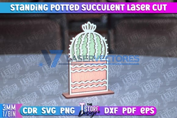 Suculenta de pie en maceta - Imagen 9