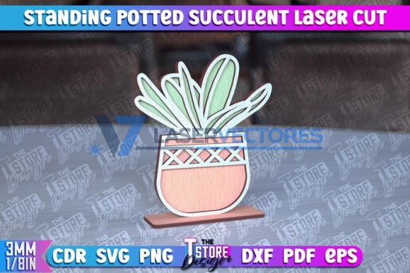 Suculenta de pie en maceta - Imagen 10