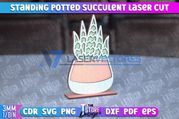 Suculenta de pie en maceta - Imagen 11